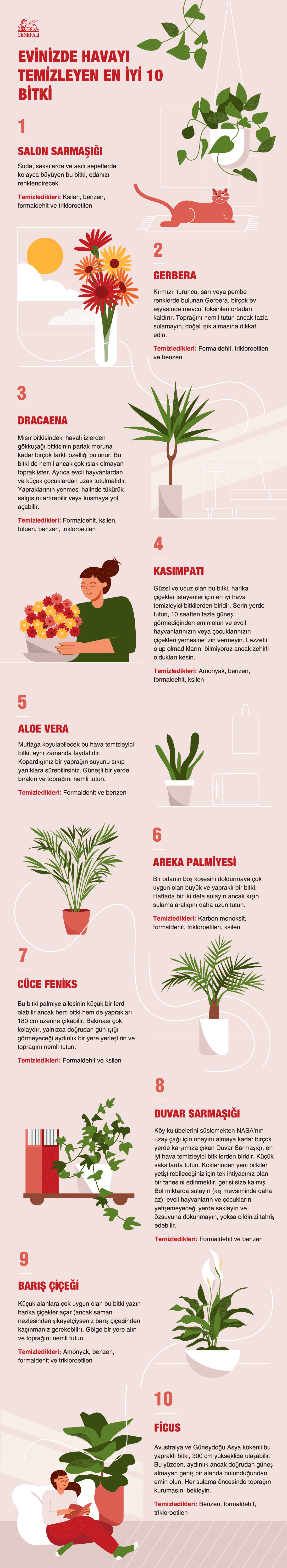 Evinizdeki havayı temizleyecek 10 bitki